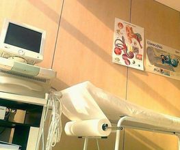 Gallery Cliente