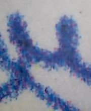 Andre Navarro image 6