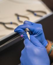 Docteur Arnaud Hocdé image 8