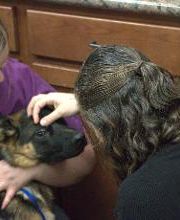 Westside Family Pet Clinic image 18