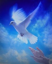 Le Bars Carriou Christine image 1