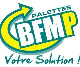 BFMP image 2