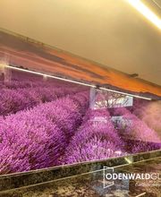 Küchenrückwand Digitaldruck