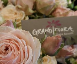 Grandiflora Bild 1