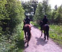 Cheval Nature image 4
