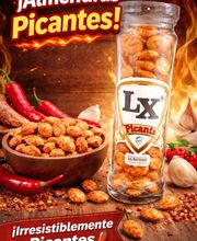 LA XERTENSE imagen 7