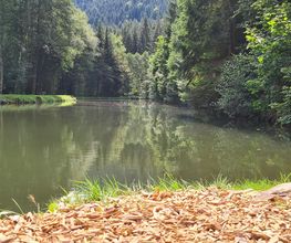 Camping Erbenwald Bild 16