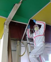 BC2E Dugua Regis image 8