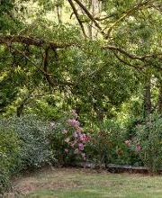 Jardin des Bastides du Gapeau