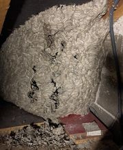 Tous Nuisibles Lorraine image 3