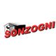 Sonzogni Père Et Fils SARL