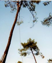 Espaces Verts Du Littoral image 7