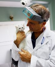 Borash Veterinary Clinic image 15