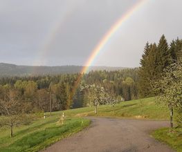 Haus Waldschänke Bild 5