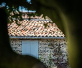 Olivier image 8
