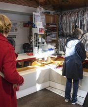 Royal Pressing image 7