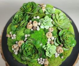 Vegetal Trend Sàrl Bild 7