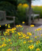 Morningview Village Senior Community image 2