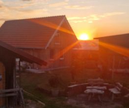 Andermichlhof Bild 10