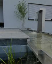 Stark im Garten Bild 18