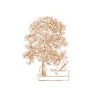 Nussbaumer Adrian logo
