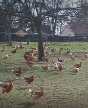 La Ferme Du Buisson image 1