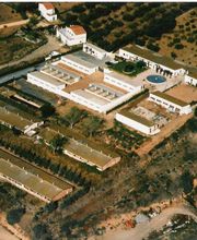 residencia-canina-en-reus.jpg
