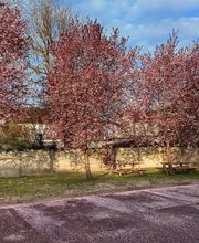 Sadec Akelys - Troyes image 1