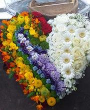 Blumen Dahlmann Bild 1