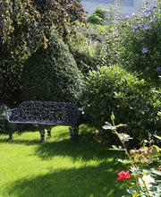 Villiger Arnosti Gartenbau AG Bild 4