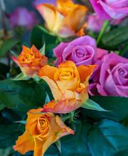 Fleuriste Vautcranne image 7