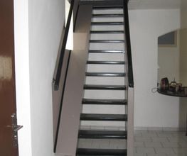Dann Stéphan image 10