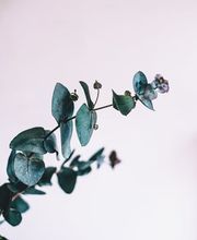 Osteopathie und Physiotherapie Katja Asemann Bild 2