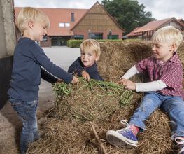 Kinderbauernhof Wigger Bild 24