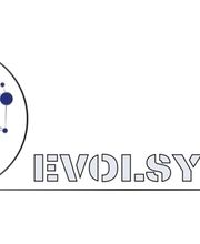 Evolsystem immagine 1