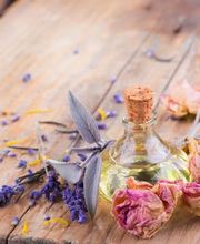 Mallereau Rachel image 1