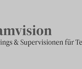 Teamvision Denise Rohner Bild 3