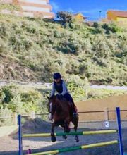 Escuela Hípica los Nogales imagen 7