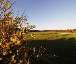 Golf De Pinsolle image 6