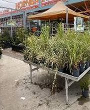 Gartencenter HORNBACH Affoltern am Albis Bild 1