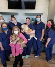 Bedford Oaks Family Vet image 10