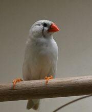 DAS FUTTERHAUS - Bremen-Weserpark Bild 7