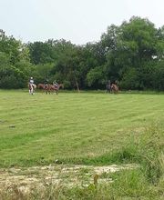 Haras du Cercle image 11