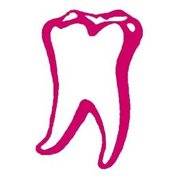 Dr. med. dent. Stefan Laser