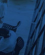 SPI Tecnologías imagen 4