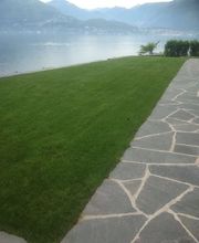 Wistaria Sagl Bild 6