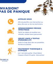 Radical Anti Nusible image 4