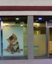clinica-veterinaria-ursaria-fachada-01.jpg