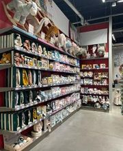 Orchestra AMIENS image 11