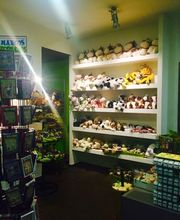 Area Sellasturex imagen 7